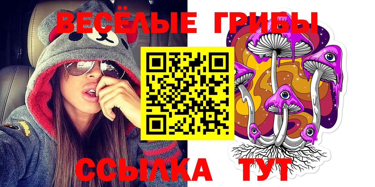 Псилоцибиновые грибы GOLDEN TEACHER Еманжелинск