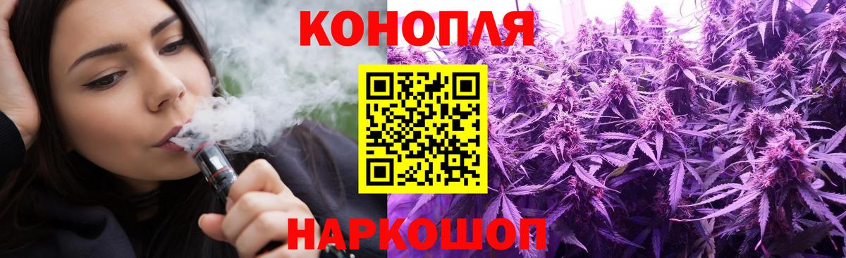 Бошки Шишки план Еманжелинск